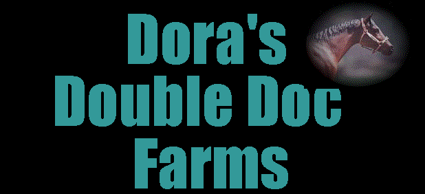 Dora's Double Doc Farms: Model Horses